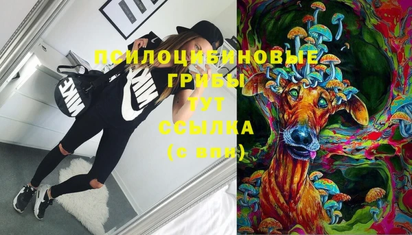 первитин Алексин