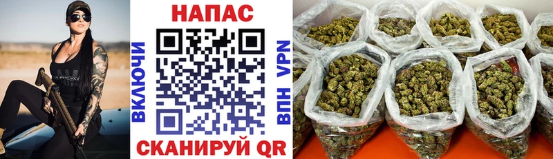 Бошки марихуана семена как найти закладки Нурлат